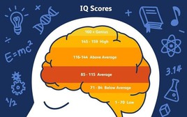 Chỉ số IQ và EQ