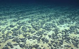 Phát hiện oxy ở độ sâu 4.000 m dưới đáy đại dương