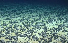 Lần đầu tiên phát hiện ra 'oxy đen' dưới biển sâu