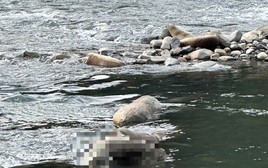 Phát hiện thi thể nam giới mắc kẹt tại tảng đá trên sông Đạ Huoai ở Lâm Đồng