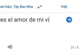 "Eres el amor de mi vi" có nghĩa là gì mà hot rần rần từ đêm qua đến giờ?