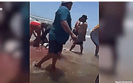 Đi dạo trên bãi biển, đôi vợ chồng bị cá mập tấn công