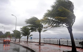 Philippines đóng cửa trường học, hủy các chuyến bay do bão Julian (Krathon)