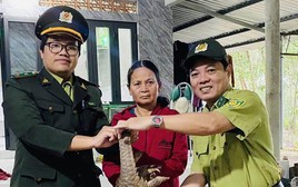 Phát hiện con vật lạ, thân đầy vảy cứng đi lạc vào vườn nhà dân