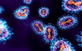 WHO xác nhận HMPV không phải virus mới: Làm thế nào để nhận biết bệnh?