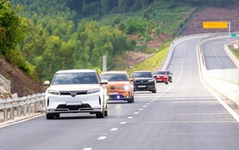 "Vàng xanh" của thị trường tín chỉ carbon