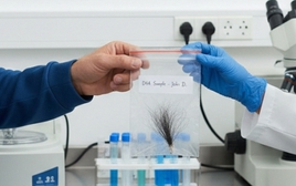 Bị trêu 'bé không giống bố', người đàn ông bí mật mang tóc con xét nghiệm ADN