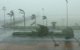 Bão số 13 Kalmaegi giật cấp 16 đổ bộ, 1 tỉnh huy động ô tô, xe thiết giáp khẩn cấp ứng phó