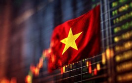 Một lĩnh vực tại Việt Nam lên như diều gặp gió, số lượng nhà đầu tư tăng mạnh, tương đương 11% dân số