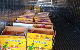 Nhiều tài xế container tố bị “bẫy” khi chở thanh long sang cửa khẩu