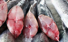 Tưởng cá hồi là "vua DHA", nào ngờ nhà vô địch thật sự là loại cá này