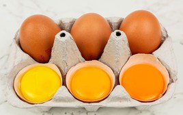 Ăn lòng đỏ trứng gây đau tim? Bác sĩ tiêu hóa tiết lộ sự thật