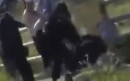 Nữ sinh lớp 10 ở Gia Lai bị nhóm lớp dưới đánh hội đồng