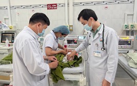 Bé sơ sinh bị vùi trong vườn cao su: Phát hiện kỳ diệu khi thấy chú chó dùng chân cào dưới đất