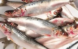 Loại cá nhìn quá đỗi bình thường ở chợ Việt là kho dinh dưỡng, bổ ngang "tổ yến nhân sâm", tiếc rằng ít người biết