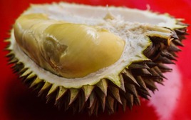 Thêm một quốc gia Đông Nam Á được chấp thuận xuất khẩu sầu riêng sang Trung Quốc