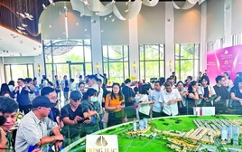 Thông tin về thời điểm đánh thuế tiền lãi chuyển nhượng bất động sản