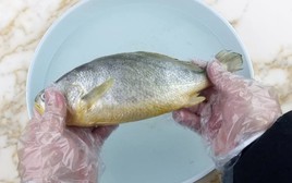 Ướp cá với thứ này rồi cất tủ lạnh, cá để cả tháng vẫn tươi ngon, đảm bảo an toàn: Nói không với formol!