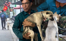 Phía sau bức ảnh người đàn ông lang thang cùng chú chó ở TP.HCM, xin việc hơn 30 công trình đều bị từ chối