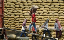 Việt Nam, Thái Lan chú ý: Quốc gia sản xuất gạo lớn thứ 3 thế giới tuyên bố quay lại nhập khẩu từ Ấn Độ, giá rẻ chưa từng thấy