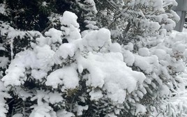 Nơi vừa có tuyết rơi hiếm có sau gần 20 năm!