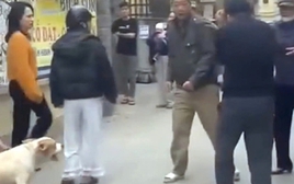 Tình huống pháp lý vụ "điều" chó dữ lao vào đám đông tấn công một phụ nữ