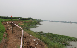 Một giám đốc công ty bị khởi tố