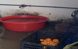 Phát hiện loạt vi phạm trong cung cấp suất ăn bán trú cho học sinh