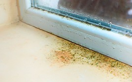 Cửa sổ mùa đông sạch bong kin kít khi được lau cùng giấm và thứ này