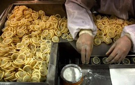 Từng xử phạt mạnh tay người sinh con thứ 2, quốc gia tỷ dân giờ đây phải đánh thuế bao cao su để khuyến khích sinh đẻ: Vài đồng thuế liệu có thắng được chi phí nuôi con lên tới 20 tỷ đồng?