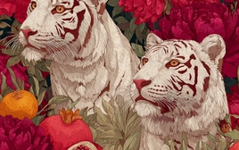 Tử vi ngày mới 4/12: 3 con giáp tài lộc ùn ùn, tiền bạc căng đét, tình yêu gõ cửa 2 con giáp sau nhiều ngày "đắp chiếu"