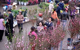 Lịch nghỉ Tết âm lịch Bính Ngọ 2026