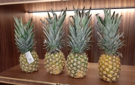 Tại sao nên đặt 1 quả dứa trong tủ quần áo?