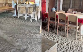 Cái nền nhà như bùn lầy này hoá ra lại là điều linh thiêng của người miền Tây