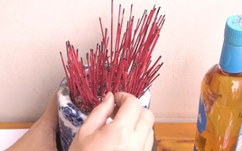 Sai lầm lớn nhất khi tỉa chân hương