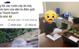 Cái kết của người phụ nữ đăng tin voi rừng bị điện giật chết ở Đồng Nai