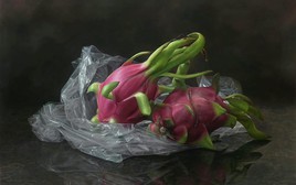 Bức tranh 2 quả thanh long trông thật đến mức "có thể bổ ra ăn được luôn" gây bão mạng: Hé lộ về tác giả