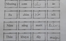 Thua học sinh tiểu học rồi!