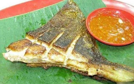 6 loài cá ăn được "nguy hiểm nhất thế giới", có tiền chưa chắc đã được ăn!