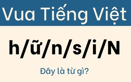 Đừng nhận mình là 'vua tiếng Việt' nếu không giải được câu này trong 5 giây