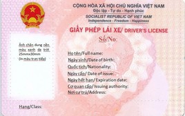 Cục CSGT đã cấp giấy phép lái xe mới màu hồng: Có bắt buộc đổi ngay trong năm nay?