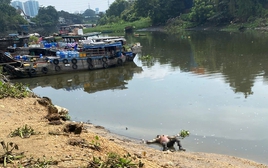 Phát hiện thi thể trôi sông Sài Gòn, bụng xăm 2 con thằn lằn