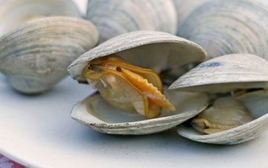 4 thực phẩm dễ tích tụ cả "mỏ kim loại nặng", độc tính mạnh gấp nhiều lần thủy ngân