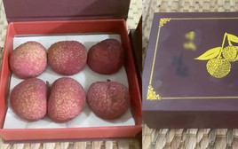 Bỏ 1 triệu để mua 18 quả vải: Nguồn gốc khiến nhiều người bất ngờ nhưng hương vị mới là điều "sốc" nhất