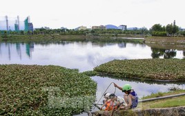 Cận cảnh hồ điều tiết ở Đà Nẵng được đầu tư hơn 17 tỷ đồng để nạo vét