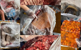 Chặn đứng container chở hơn 20 tấn nội tạng bốc mùi trên đường vào Nam tiêu thụ
