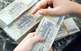 Một hộ kinh doanh bán lẻ thủy sản thu 560 tỷ đồng trong năm 2024, 5 hộ kê khai doanh thu hơn 200 tỷ đồng/năm