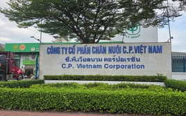 Vụ Công ty CP Chăn nuôi C.P. Việt Nam bị tố bán heo bệnh: Xem xét chuyển Bộ Công an điều tra