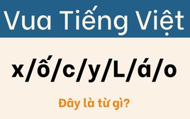 99% người chơi bị câu đố này lừa