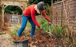 5 điều cần làm ngay với sân vườn trước khi năm mới đến